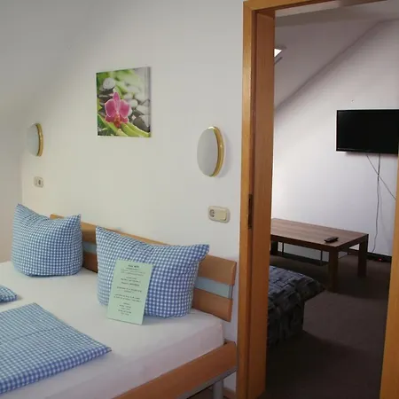 Berg Hotel Hochstadt an der Donau