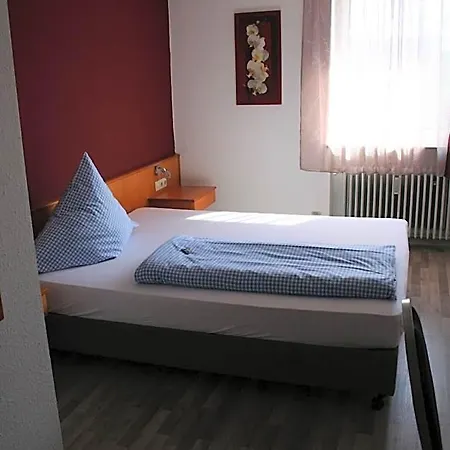 Hotel Berg Hochstadt an der Donau